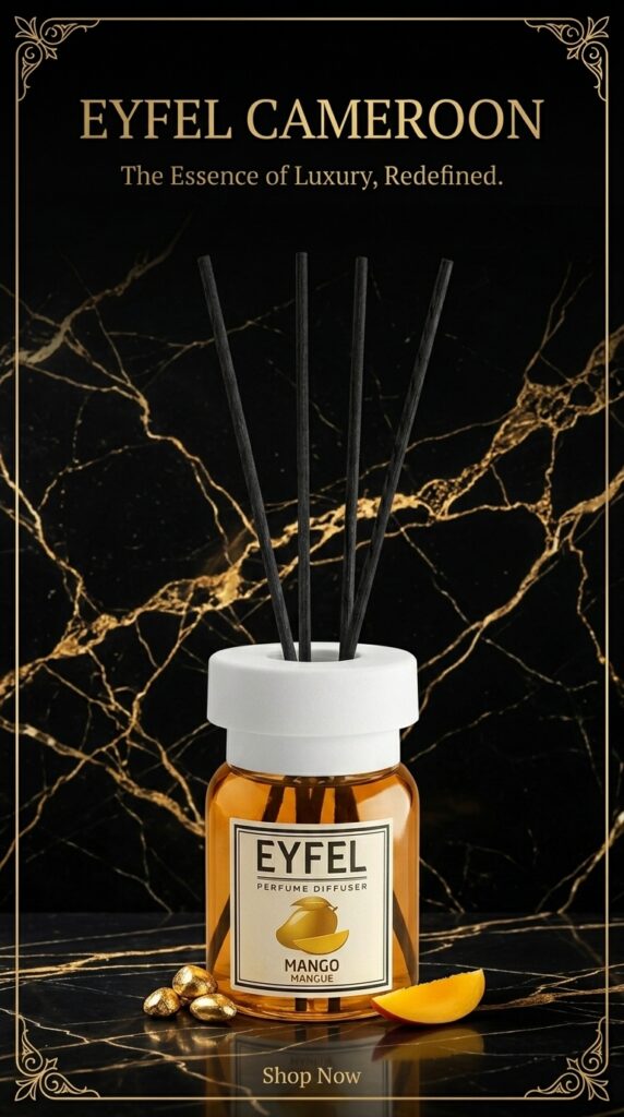 Eyfel Cameroon Instagram Story Template